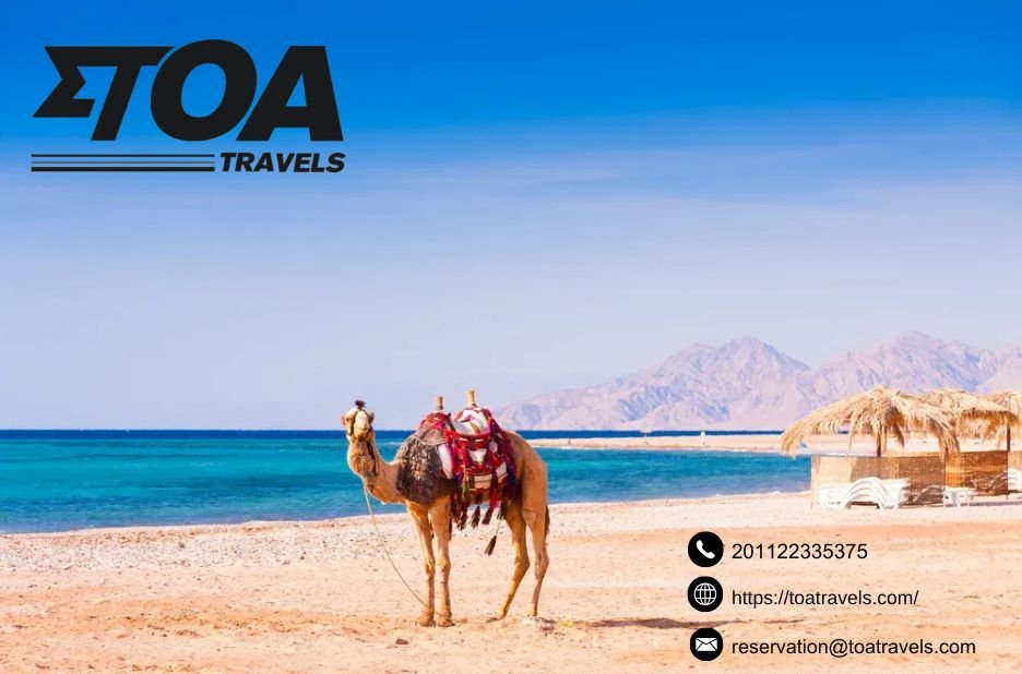 Cairo Tours | Toatravels.com