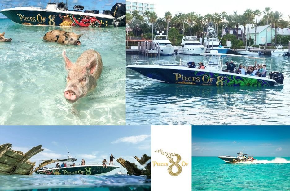 Paradise Island Los Angeles | Piecesof8tours.com