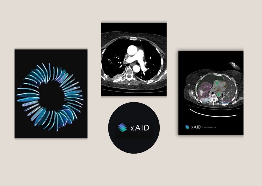Practical Workflow Guide for AI Medical Imaging Systems