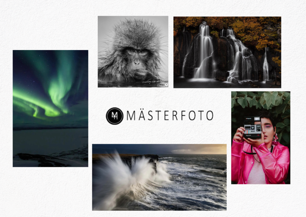 Fotokurs i Malmö med Mästerfoto för bättre fotografering