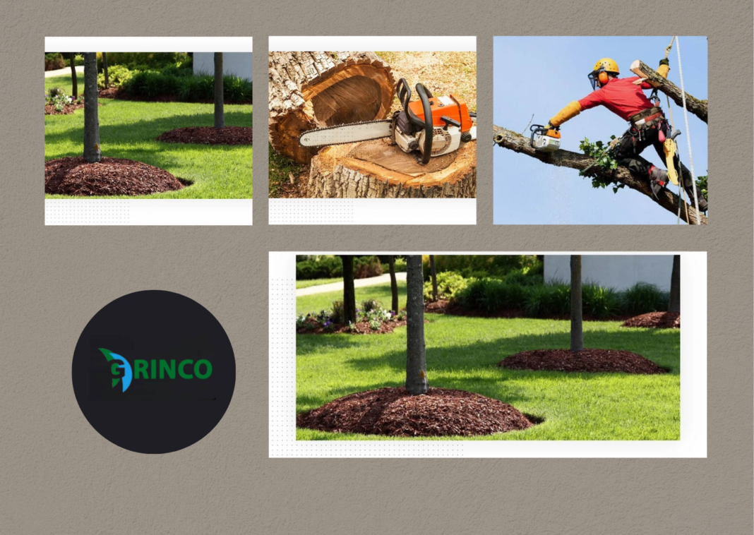 Tree Root Removal Melbourne by Grinco Tree Services Experts