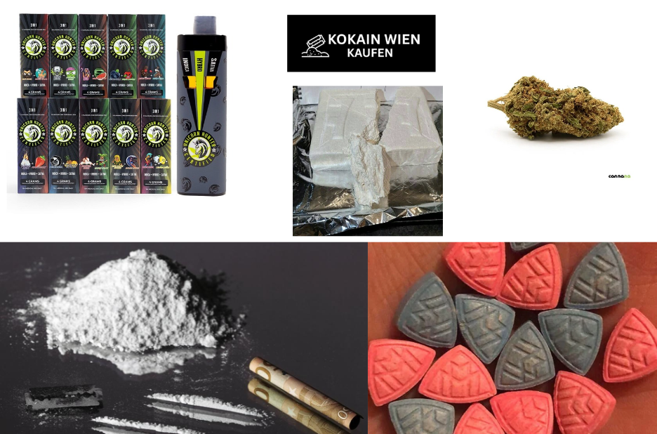 Cannabis in Wien kaufen: Checkliste für rechtssichere Infos
